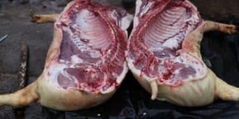 Kako zaklati svinju: kako pravilno rezati, iskasapiti prasad, klati i klati